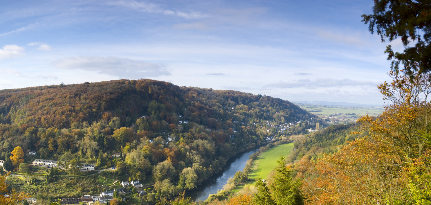 forest-of-dean-autumn-england