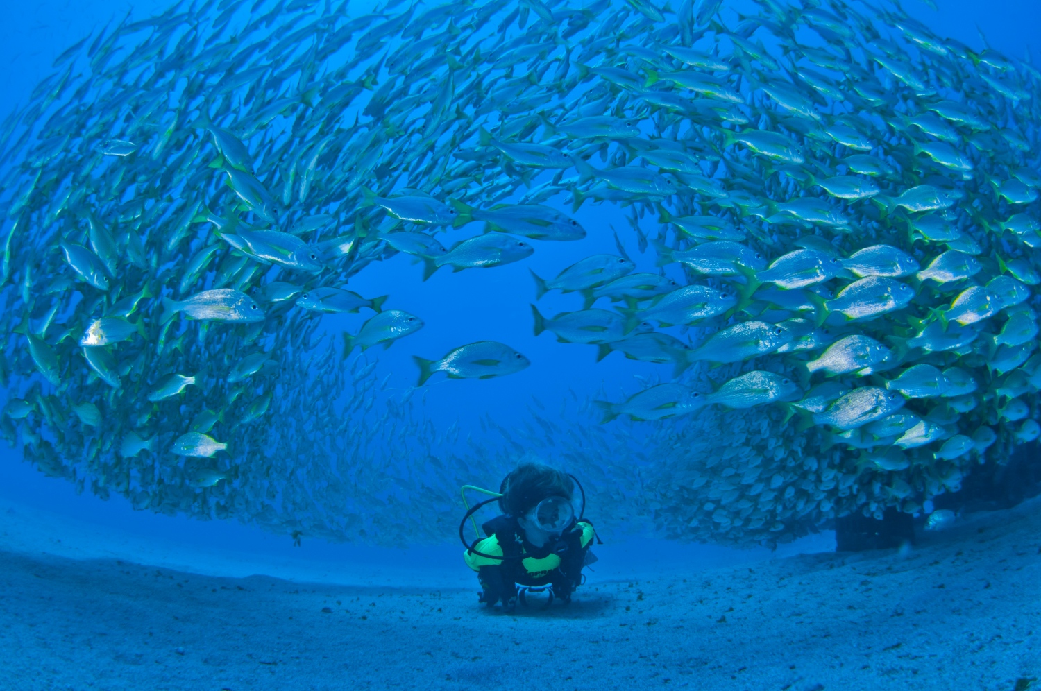 diving-gran-canaria