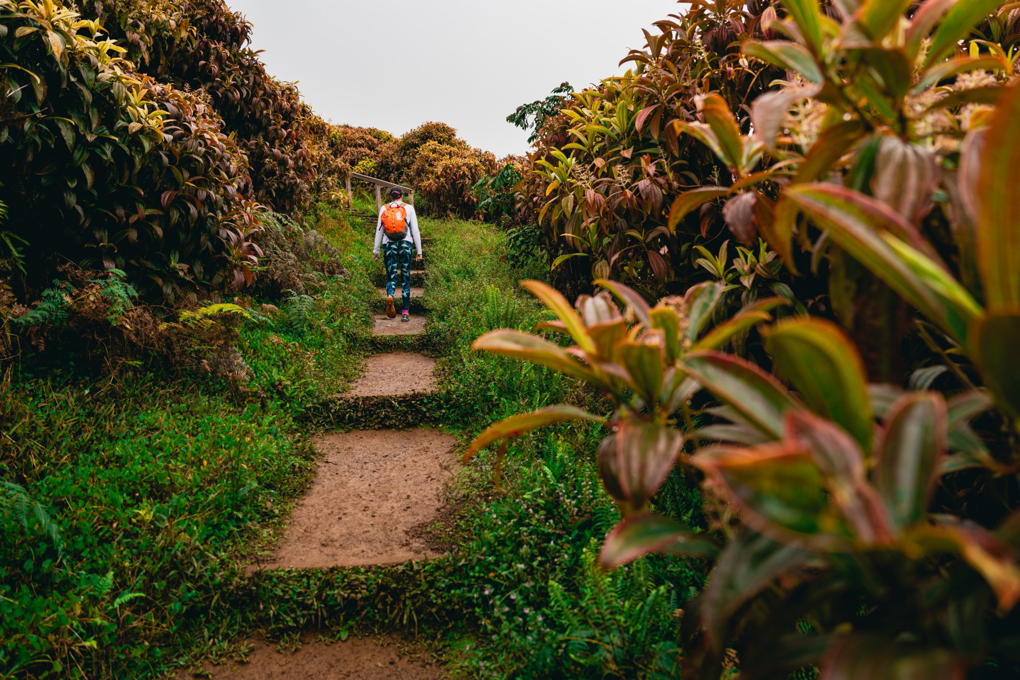 hike-to-el-junco-Galápagos