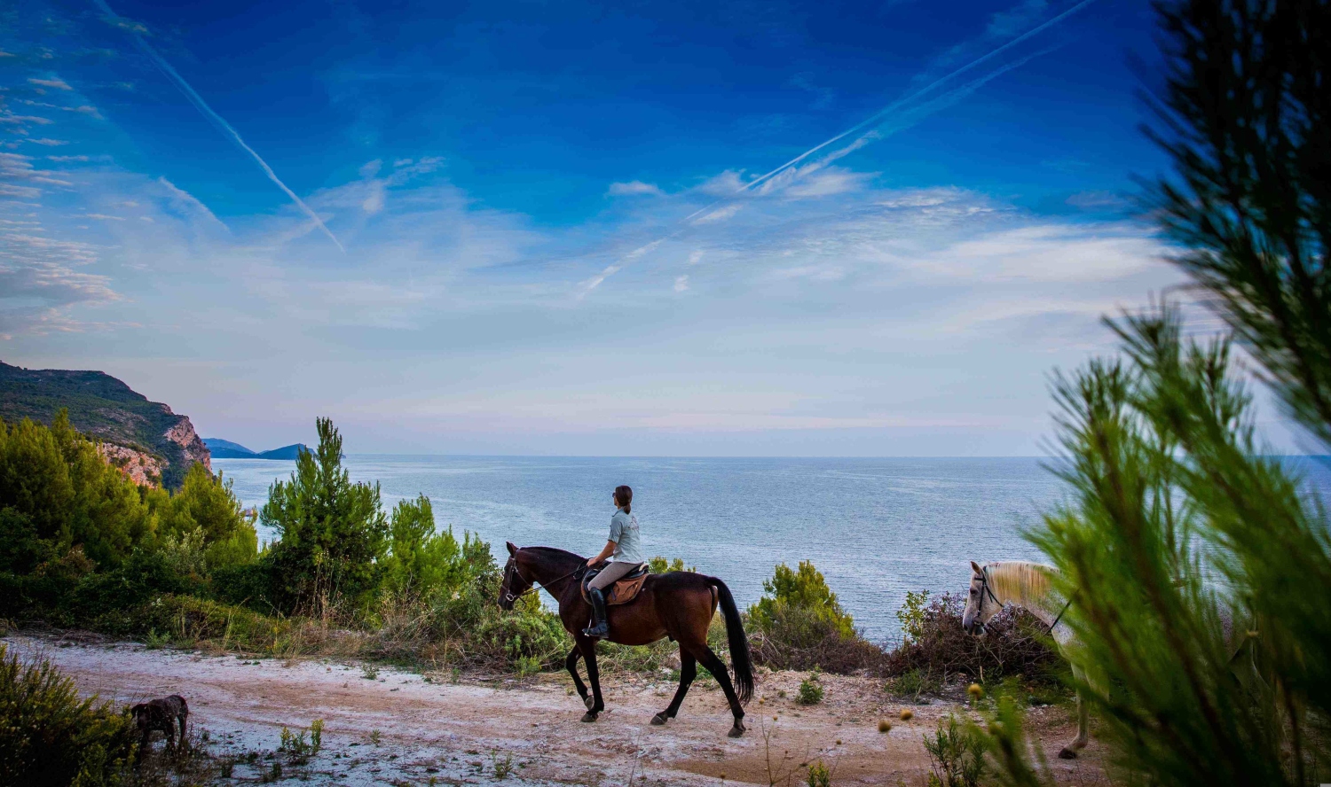 horse-riding-dubrovnik-and-neretva-county