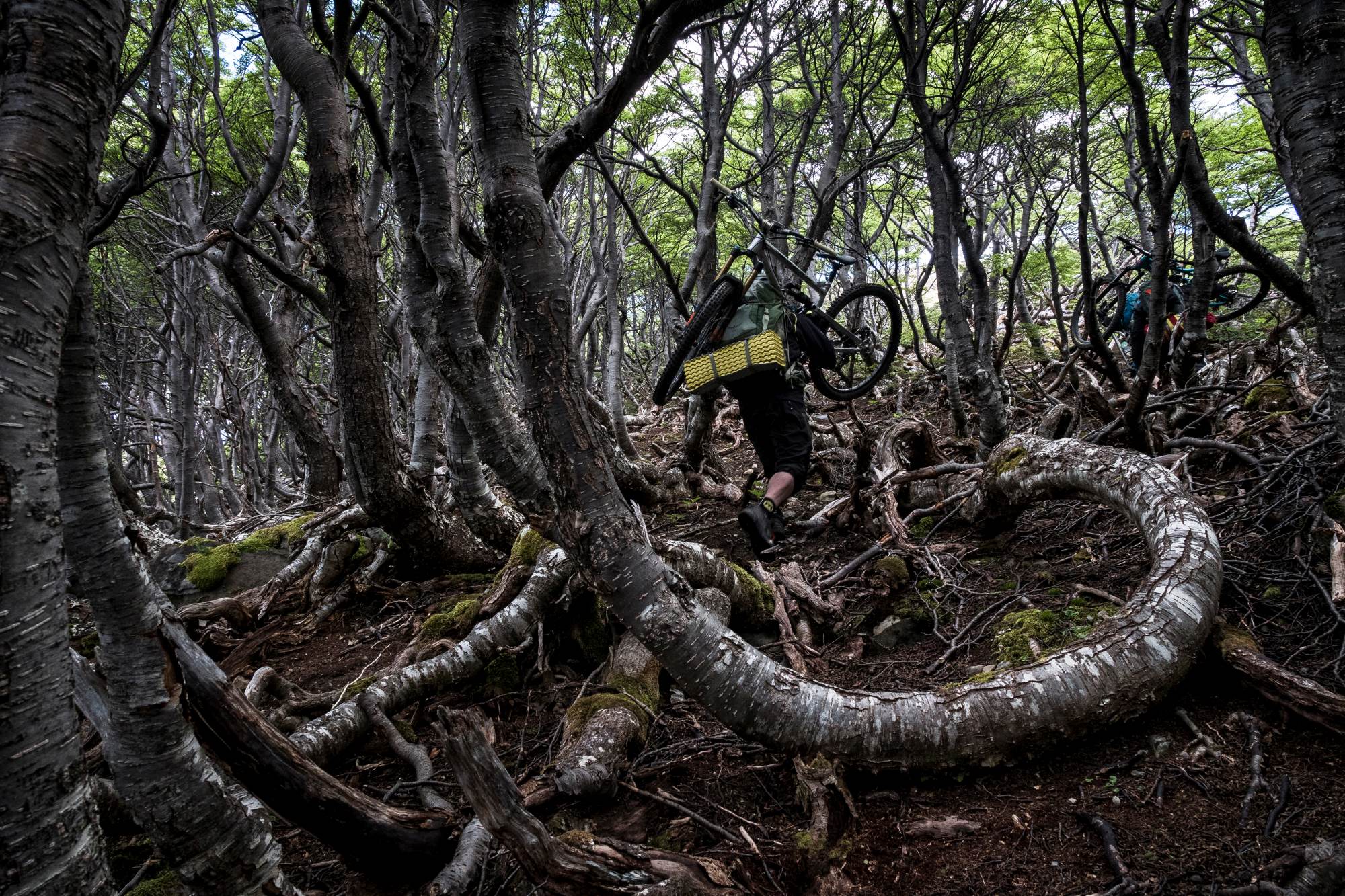 adventure-photographer-dan-milner