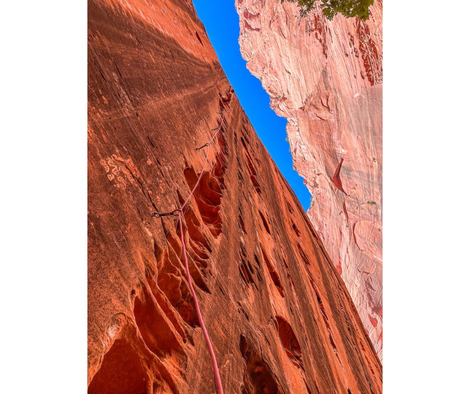 namase-wall-zion-national-park