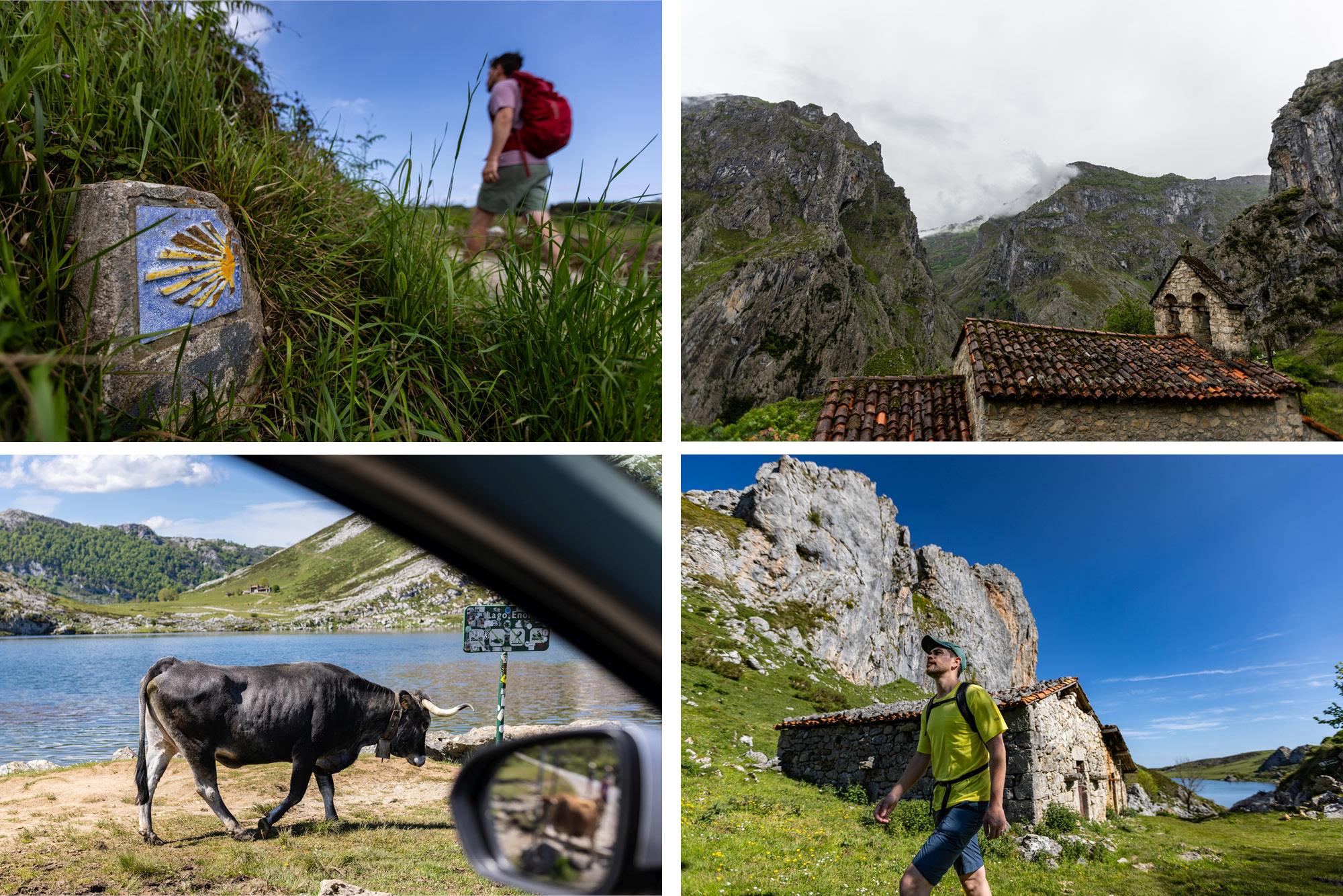 Picos-de-Europa-Asturias-Spain