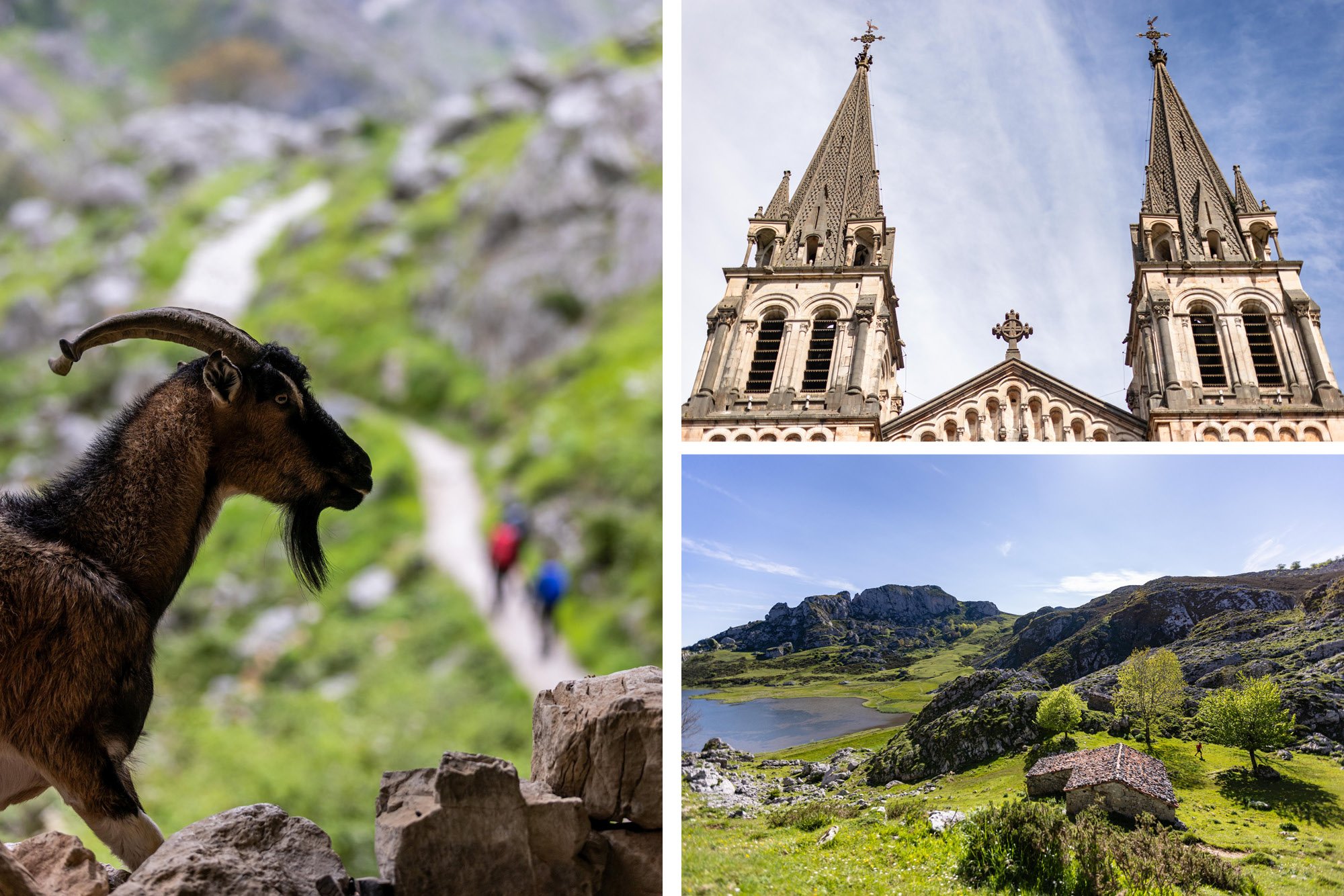 Picos-de-Europa-Asturias-Spain