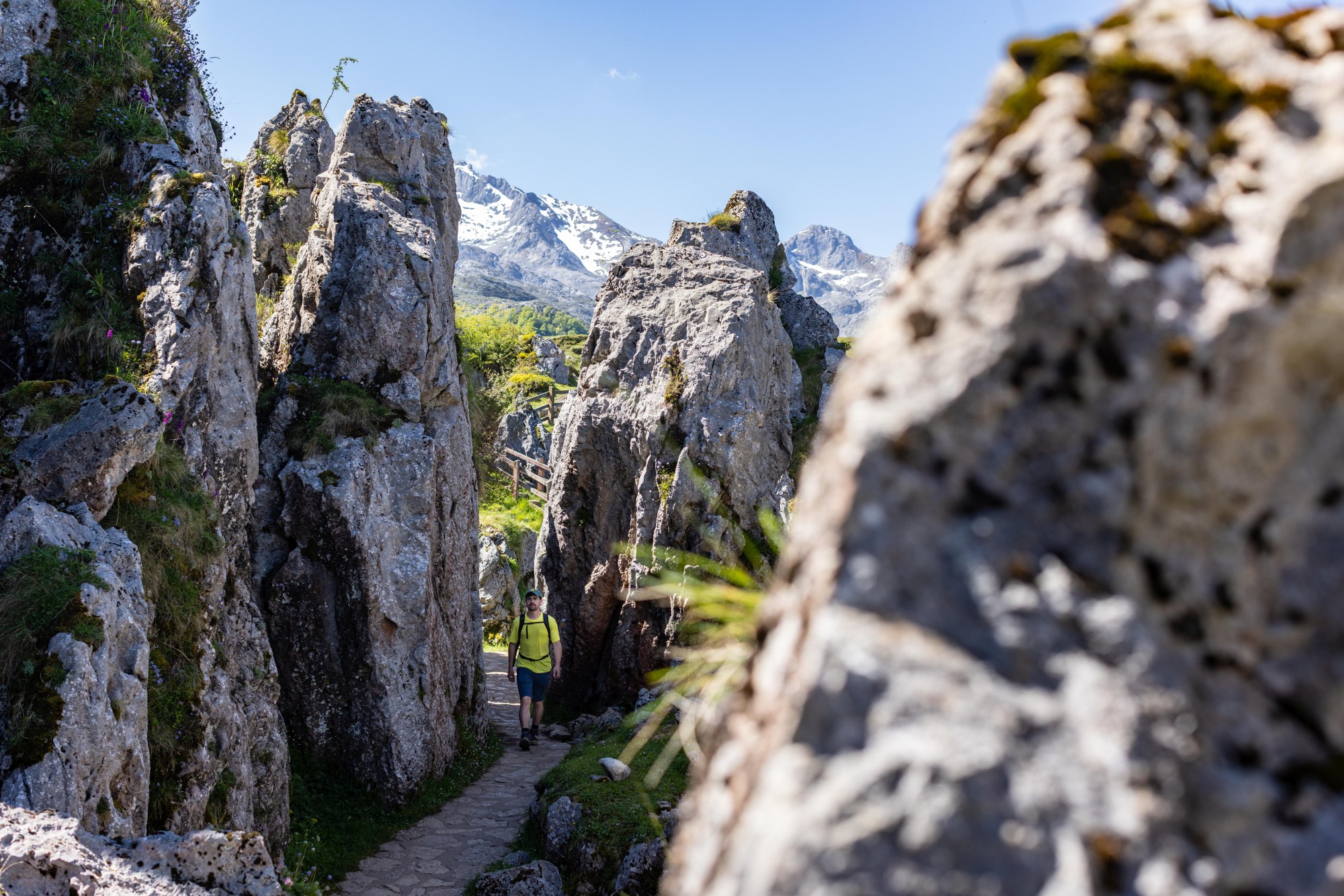 Picos-de-Europa-Asturias-Spain