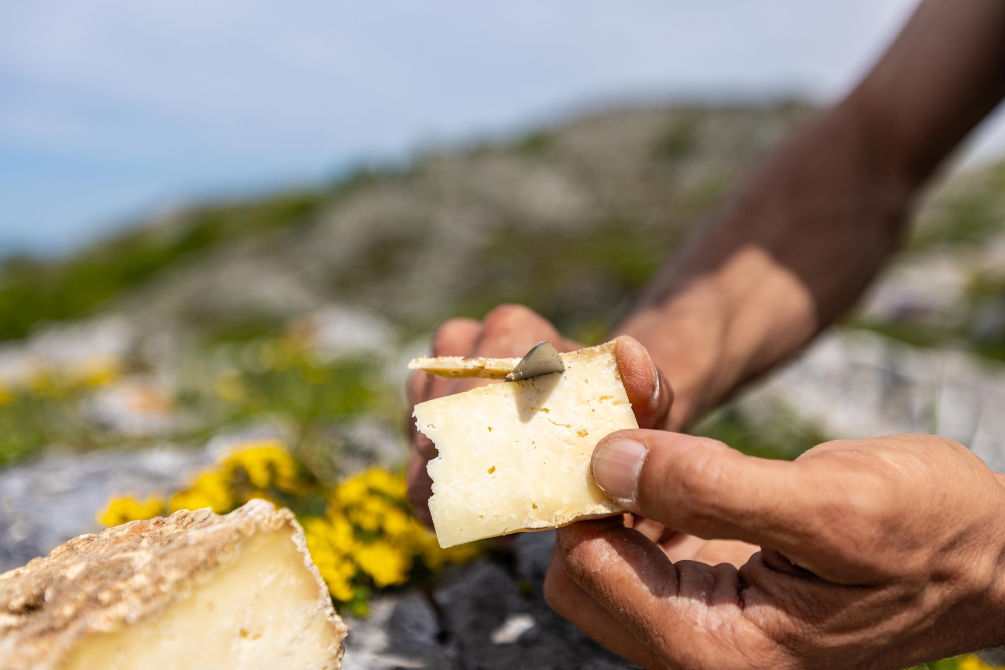 Picos-de-Europa-Asturias-Spain