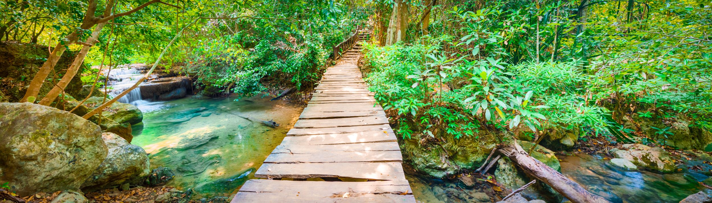 Travel stories header