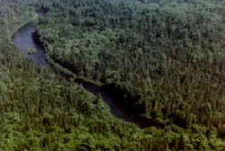 A River running through the Allagash wilderness