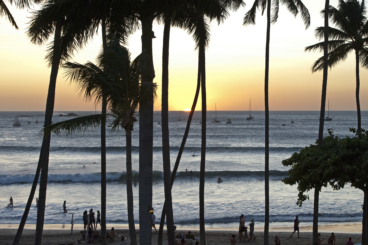 surfers-palm-trees-costa-rica