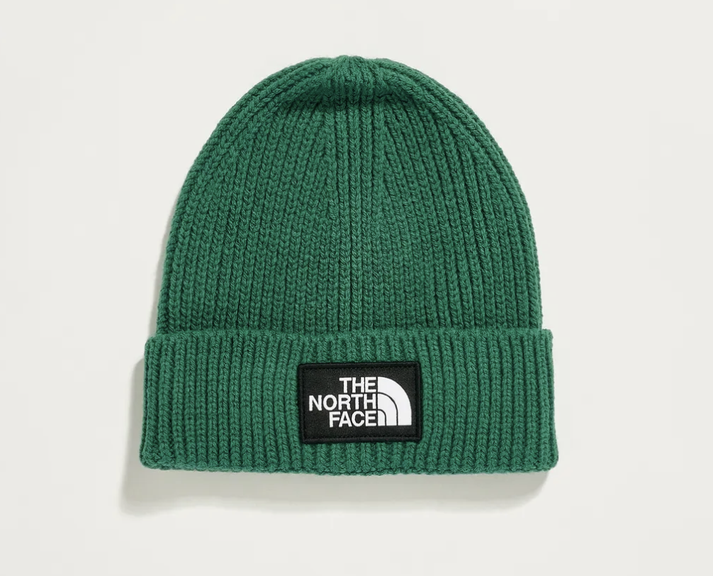 the-north-face-green-logo-beanie