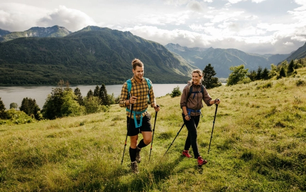 best poles for walking