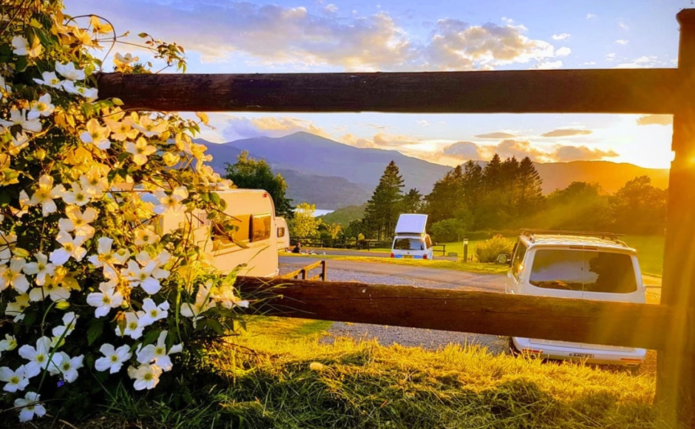 campers parked with flowers in foreground and mountains and sunset in background lake district campsites credit castlerigg hall