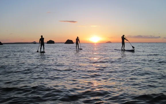 header sup at twilight east lothian watersports visit east lothian