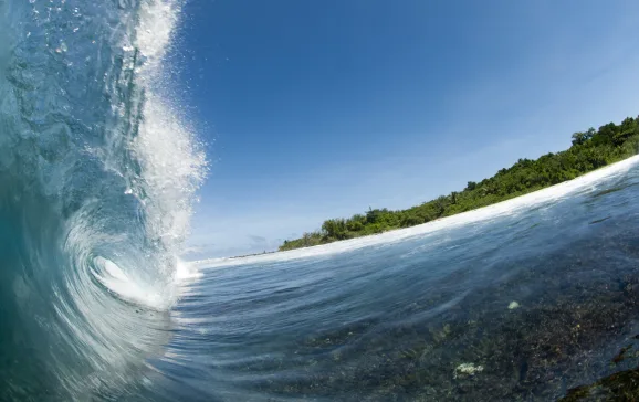 istock 19272679 medium