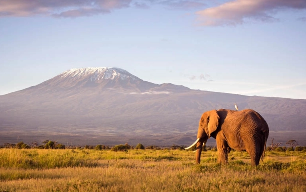 mountaineering holiday world guide expeditions kilimanjaro tanzania africa