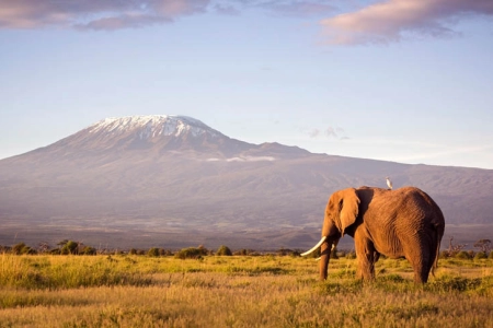 mountaineering holiday world guide expeditions kilimanjaro tanzania africa